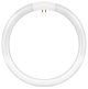 Replacement Circular Tube w/Pins 22W Daylight T5