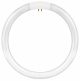 Replacement Circular Tube w/Pins 22W Daylight T5