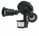 Motion Sensor Light Fixture Black