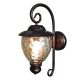 Outdoor Wall Fixture Bronze 1lt 60W Max