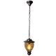Outdoor Hanging Fixture Bronze 1lt 60W Max