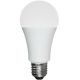 LED Bulb 15W E27 Daylight 1pk