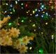 Solar String Light 200lt Multi Color w/8 Functions
