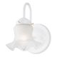 Wall Fixture 1Lt White Tulip Frosted Glass Shade