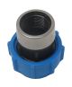 POLYFAST FEMALE ADAPTOR FBSP 25MMX 3/4