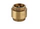 Check Valve 1