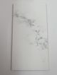 Acrylic Slab 30