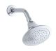 Forte Shower Head Chrome 1.8GPM