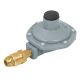 Single Outlet L.P Gas Regulator