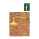 EMERGENCY DRENCH SHOWER 1110