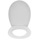 SANDRINGHAM 21 SEAT METAL HINGES E907401
