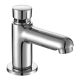 Bri Delay Action Metering/Self Closing Basin Tap