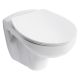 SANDRINGHAM WALL HUNG BOWL V391001