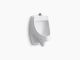 Dexter Washdown Wall Hung Urinal White 3/4