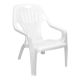 Nautilus White Chair Pica